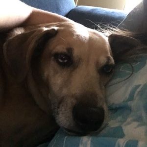 Meet your Posher, Morgan